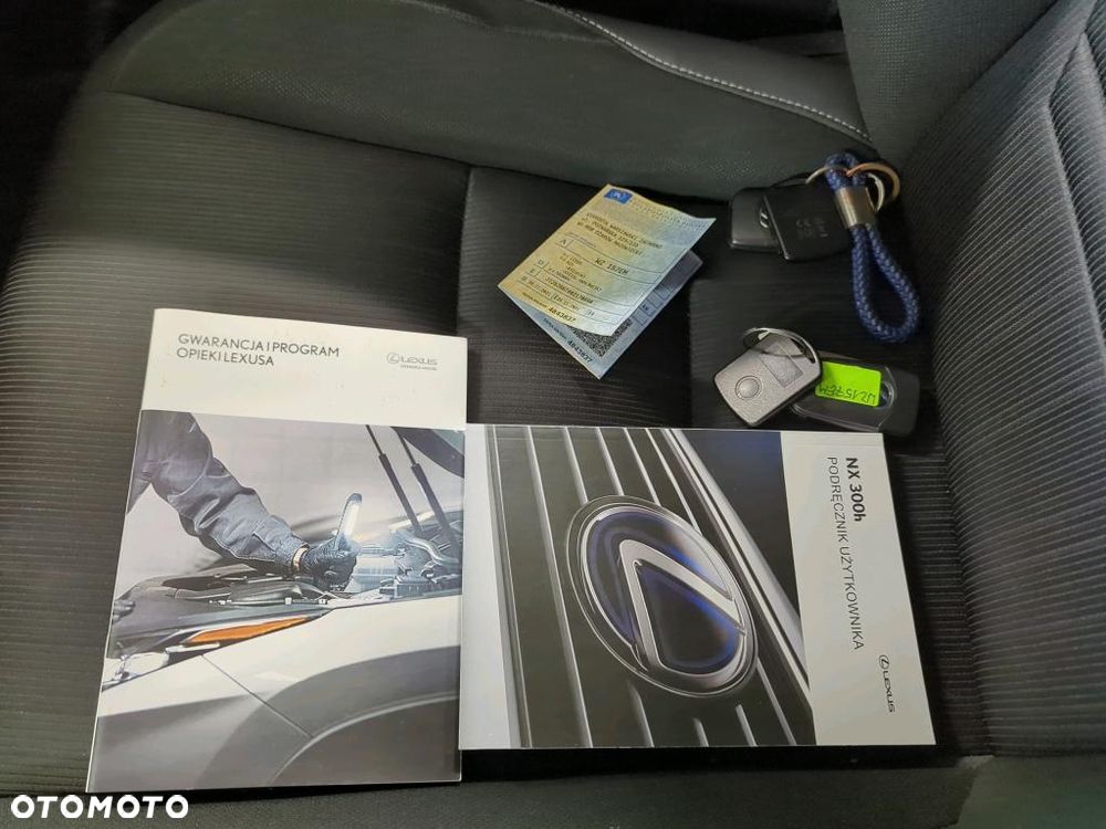 Lexus NX - 20