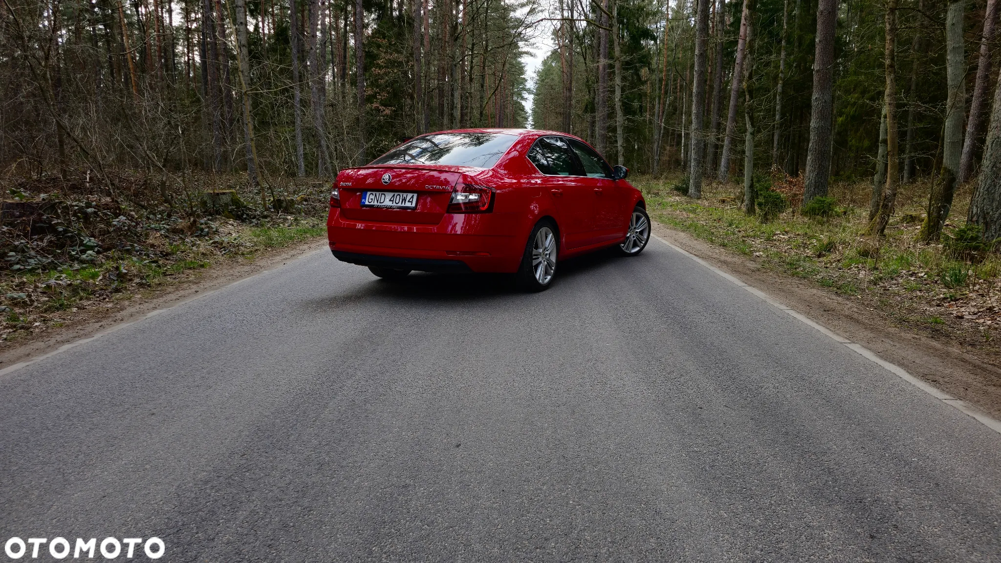 Skoda Octavia 2.0 TSI GPF Ambition DSG - 3