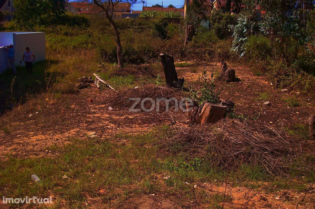 Terreno Rústico - Grande imagem: 3/17