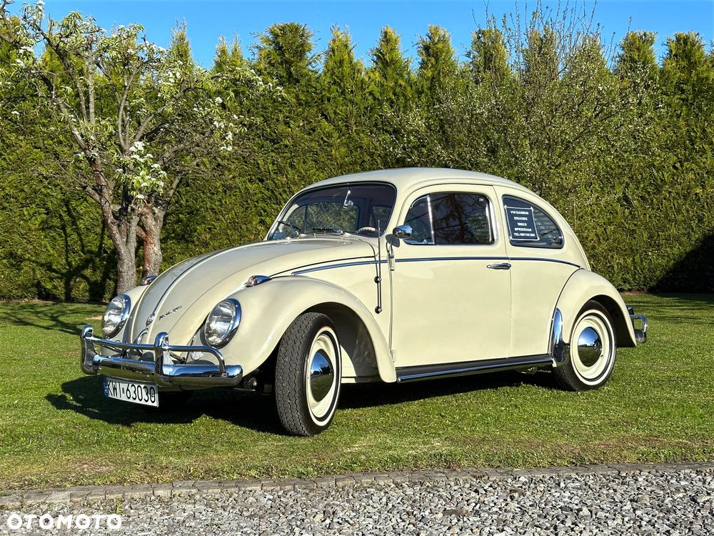 Volkswagen Garbus - 2