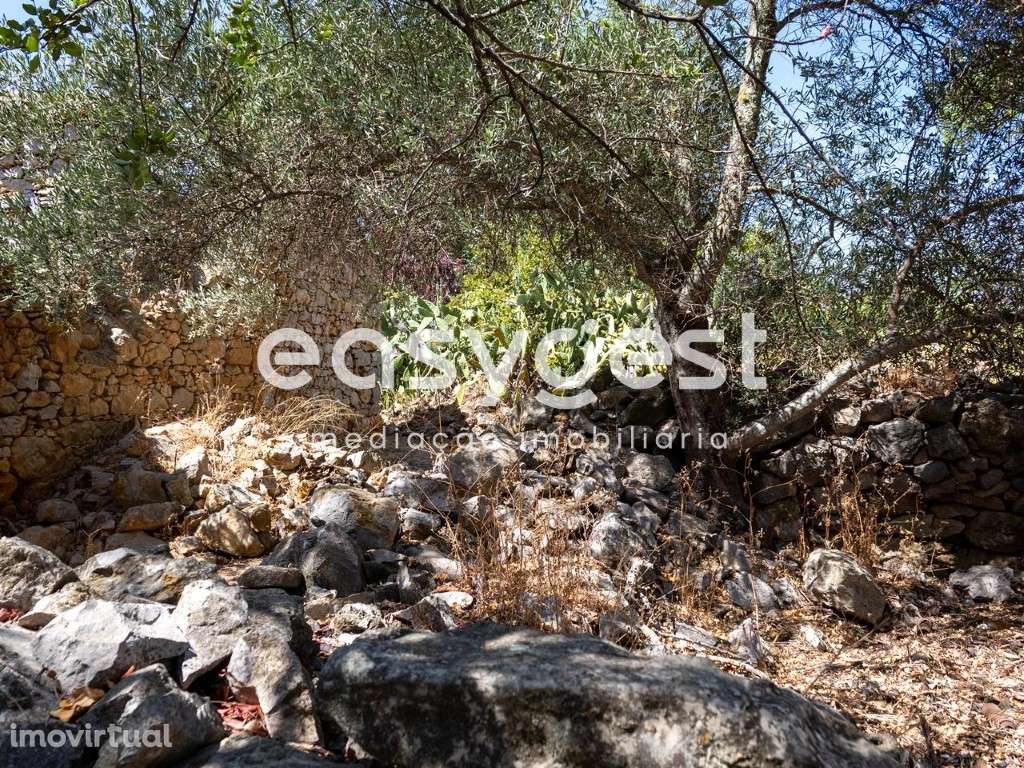 Terreno misto com ruina localizado em sitio do Pereiro-Moncarapacho - Grande imagem: 3/17