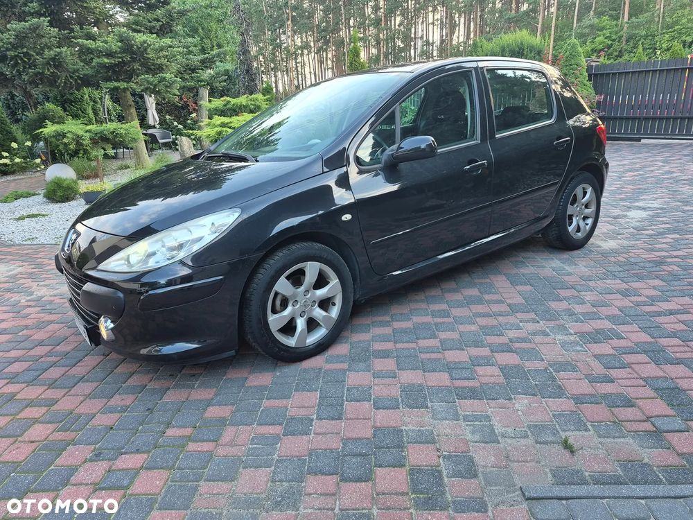 Peugeot 307 110 OXYGO - 11