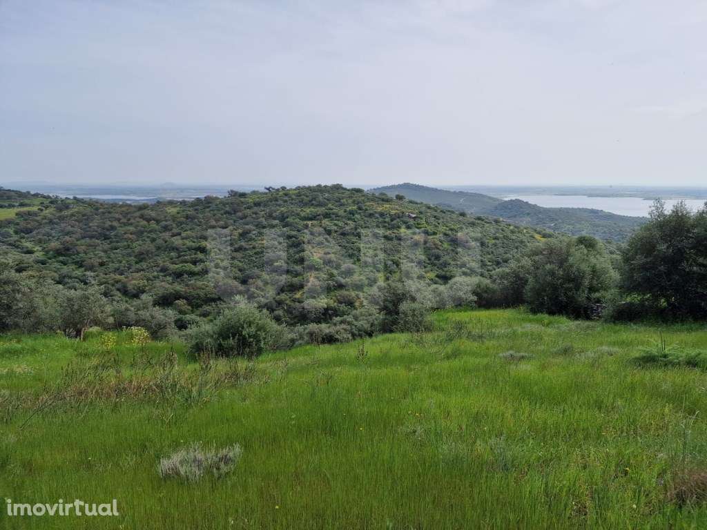 Terreno na Encosta do Castelo de Monsaraz - Grande imagem: 4/23