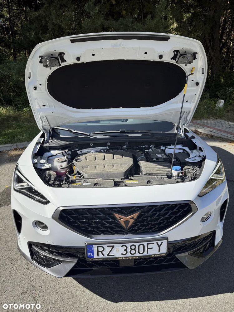 Cupra Formentor 2.0 TSI 4Drive DSG - 23