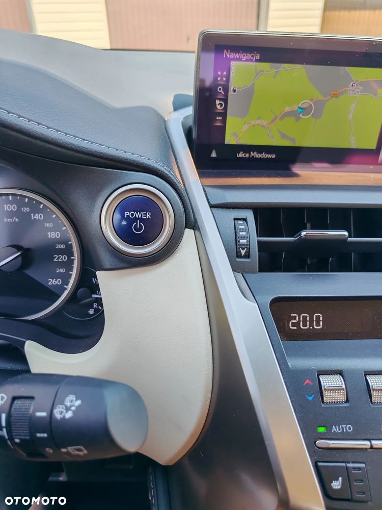 Lexus NX 300h Business Edition AWD - 17
