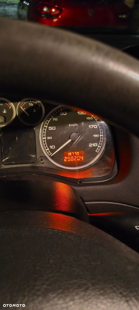 Peugeot 307 - 10