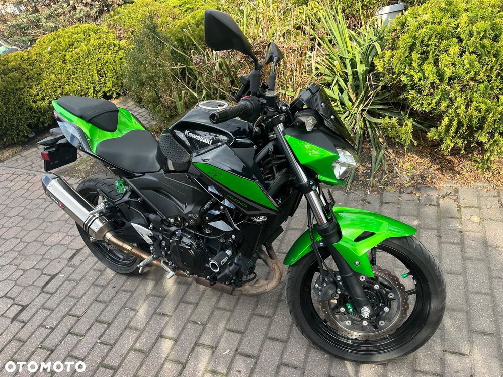 Kawasaki Z - 6