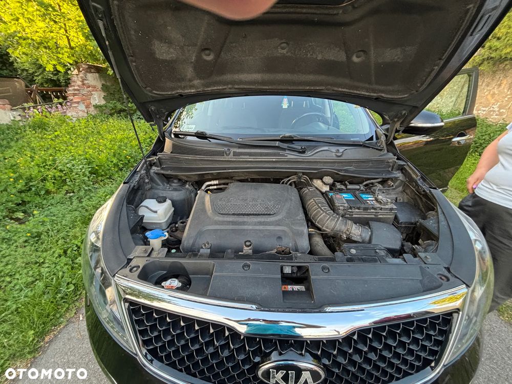Kia Sportage - 6