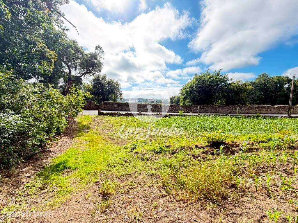 Terreno para Construção de Moradias individuais 12.000 m² na Junque... - Grande imagem: 4/22