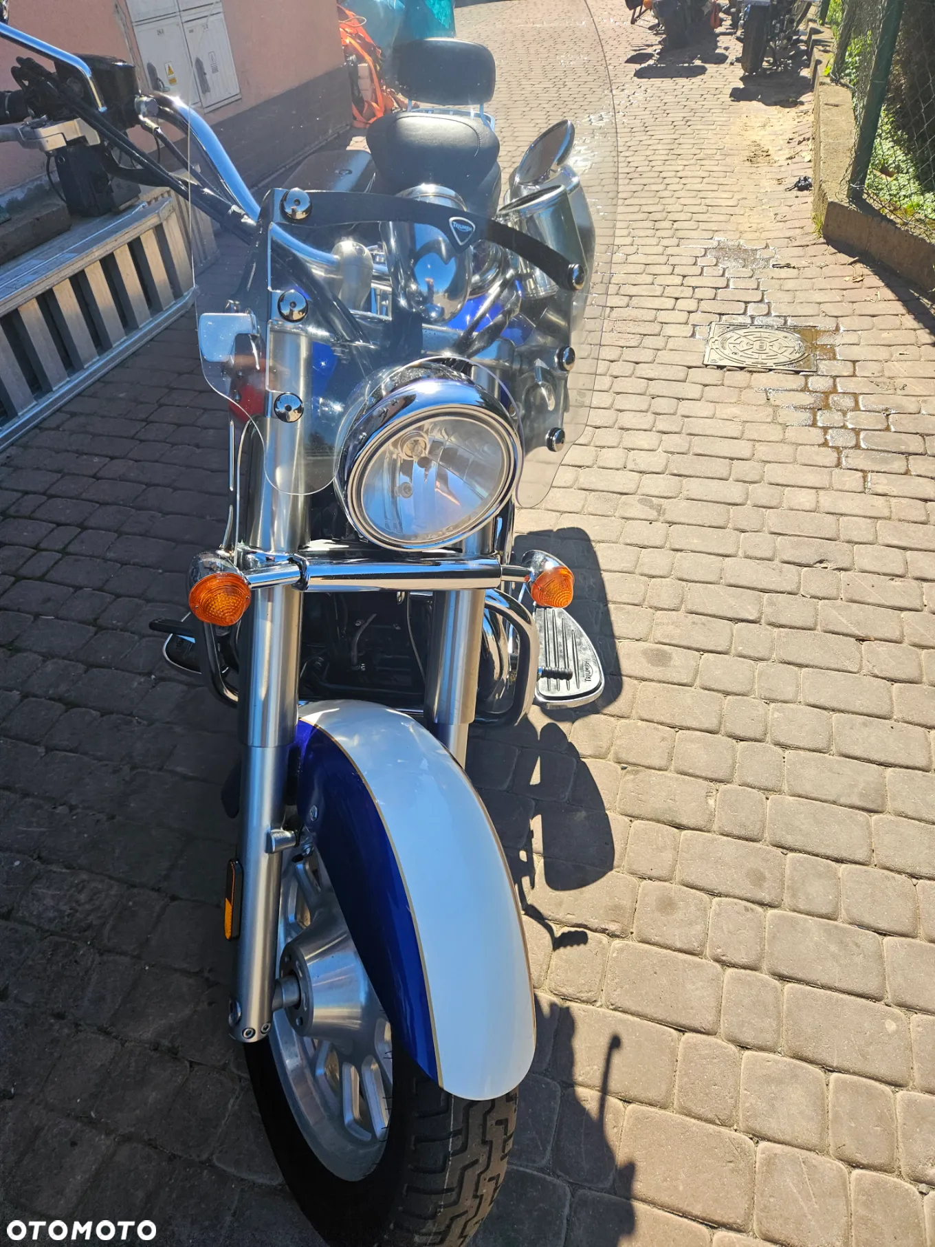 Triumph Speedmaster - 11
