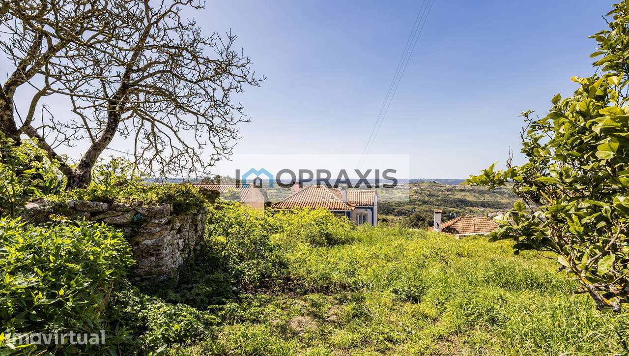 Moradia a Recuperar + Antiga Casa em Pedra - Investimento ou Casa P... - Grande imagem: 2/18