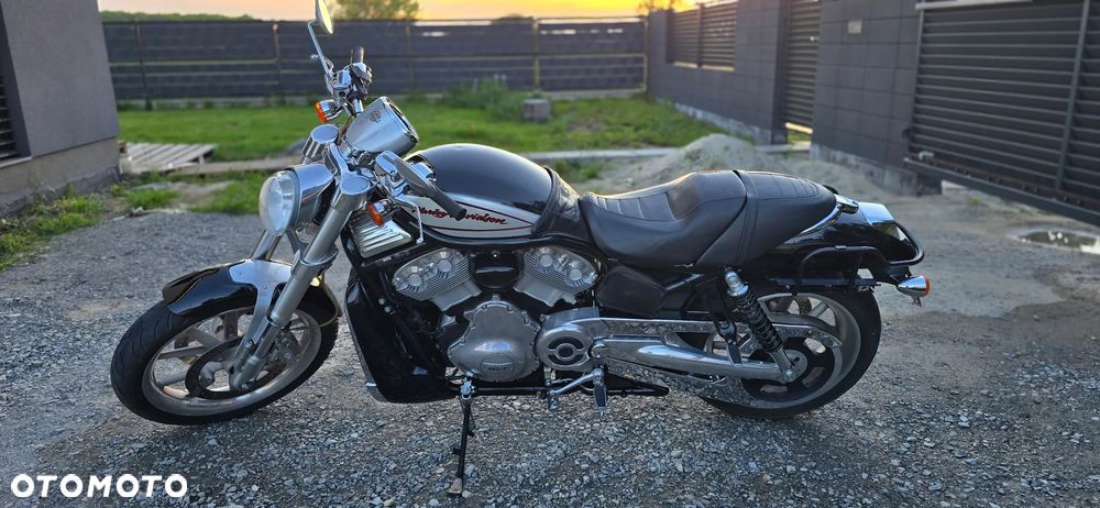 Harley-Davidson V-Rod Street Rod - 5