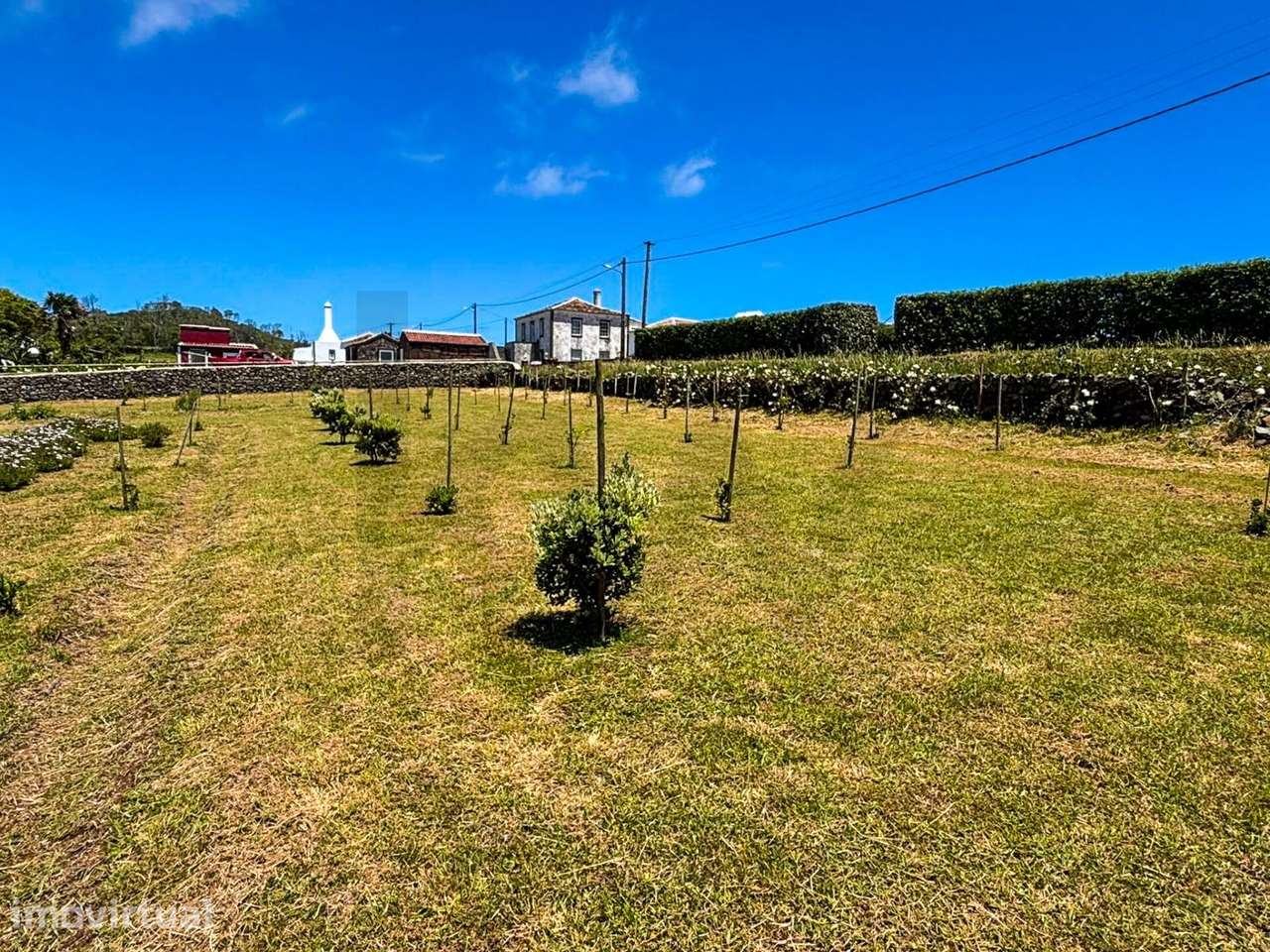 Terreno Rústico de 4850m2 - Santo Espírito, Vila do Porto - Grande imagem: 5/17