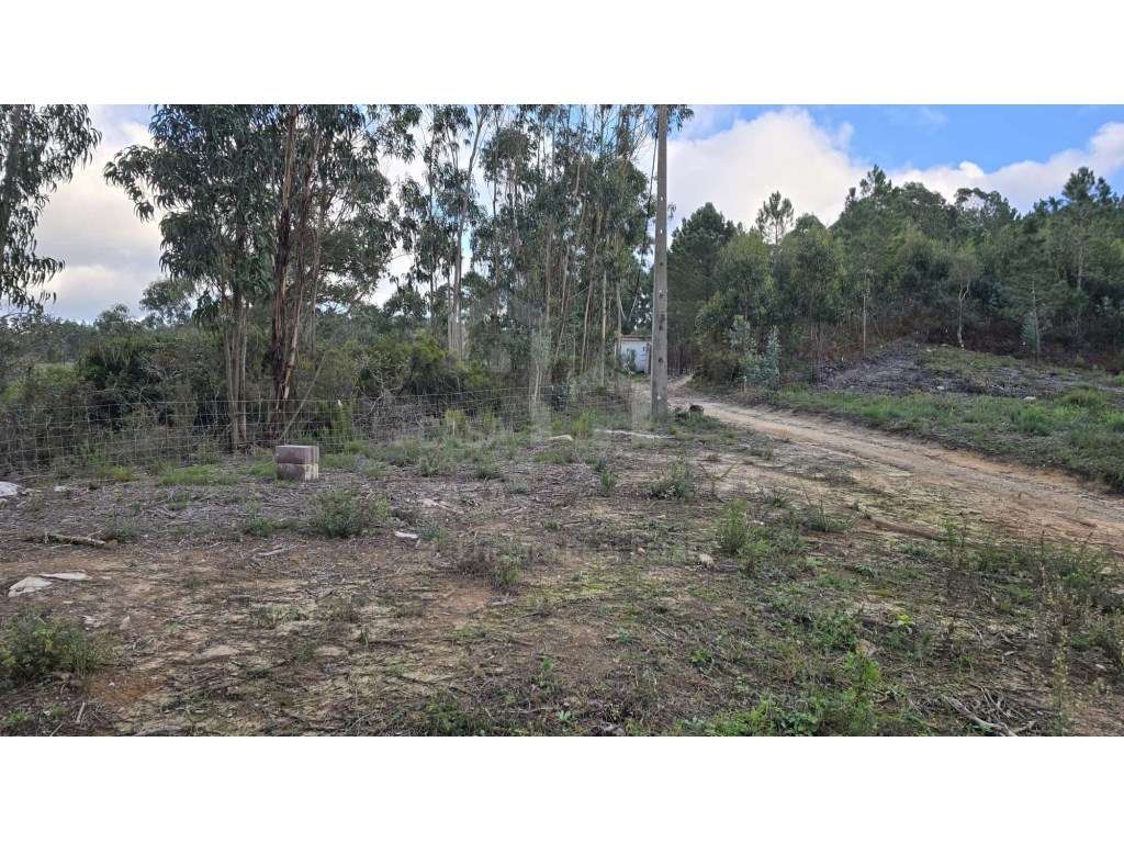 Vende Terreno - Ericeira 6 km, A Casa das Casas - Grande imagem: 2/10