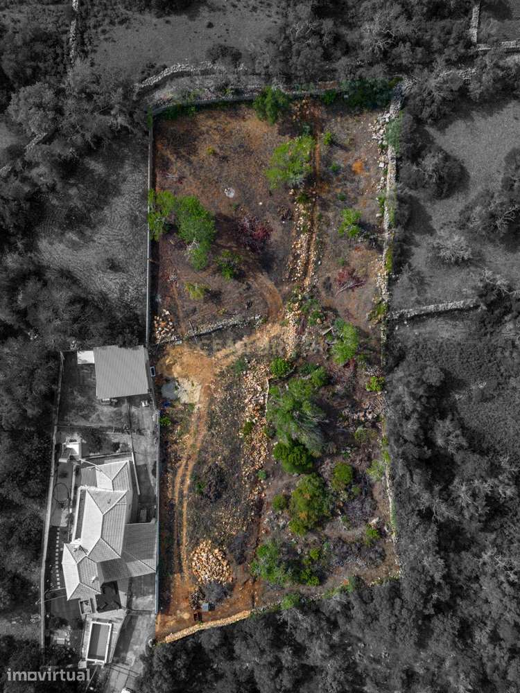 Terreno Misto com 2035m2 de área Urbana e 1950m2 área Rústica - Loulé - Grande imagem: 2/18