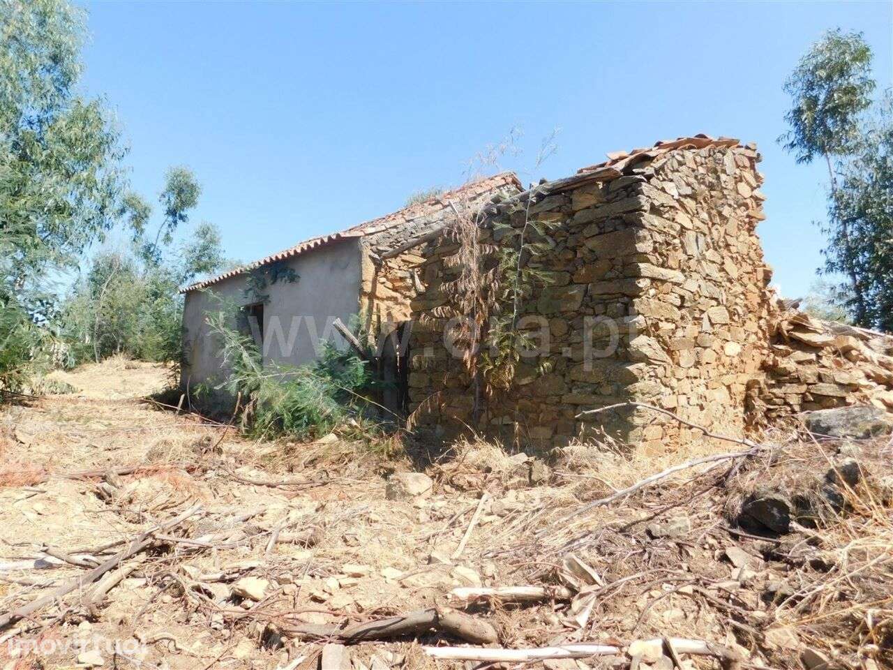 Quinta / Fundão, Quintas da Torre - Grande imagem: 2/7