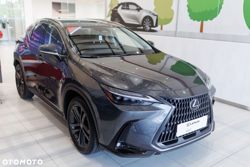Lexus NX - 3