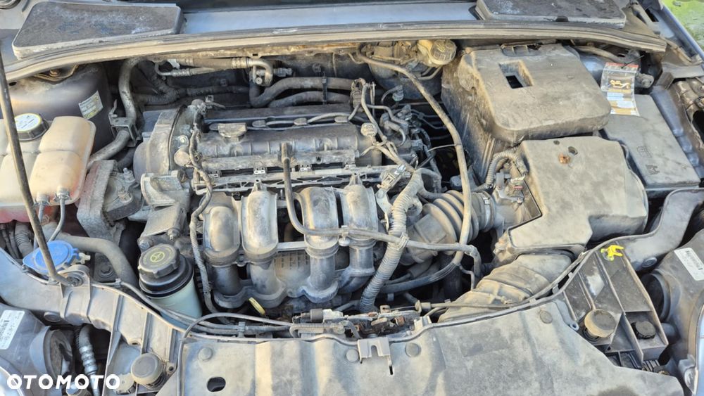 Ford Focus 1.6 Ambiente Start - 12