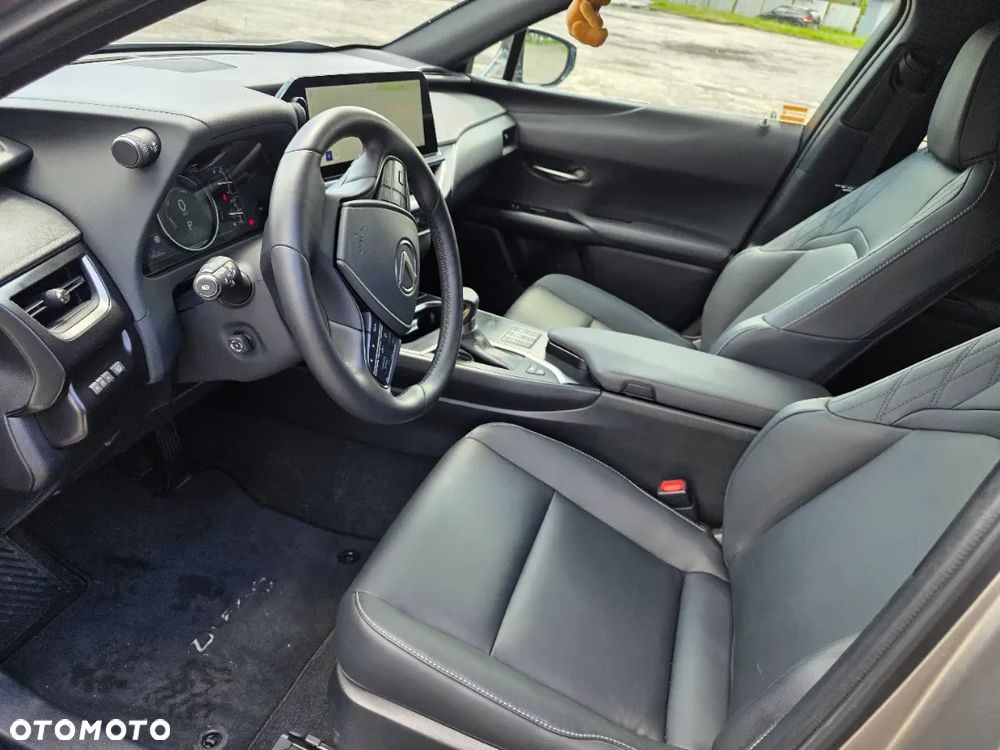 Lexus UX 250h GPF F Sport Design+ 2WD - 10