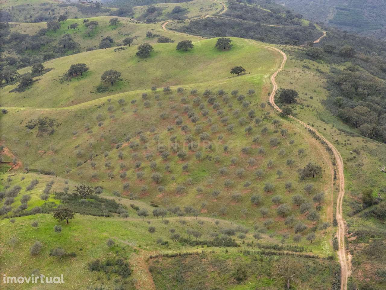 229 Hectares com 3 barragens em Odemira - Grande imagem: 4/25