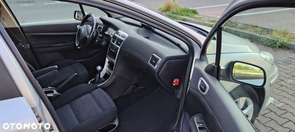 Peugeot 307 2.0 Premium - 14