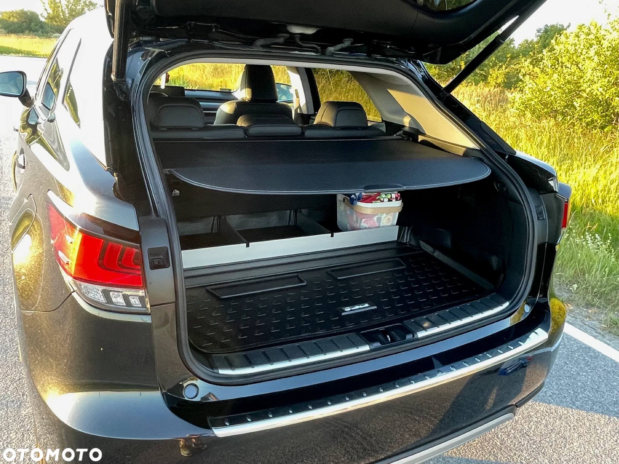 Lexus RX 300 Business Edition + - 15