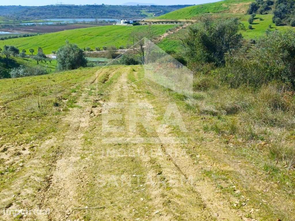 Terreno Rústico com 2 hectares - Grande imagem: 4/9