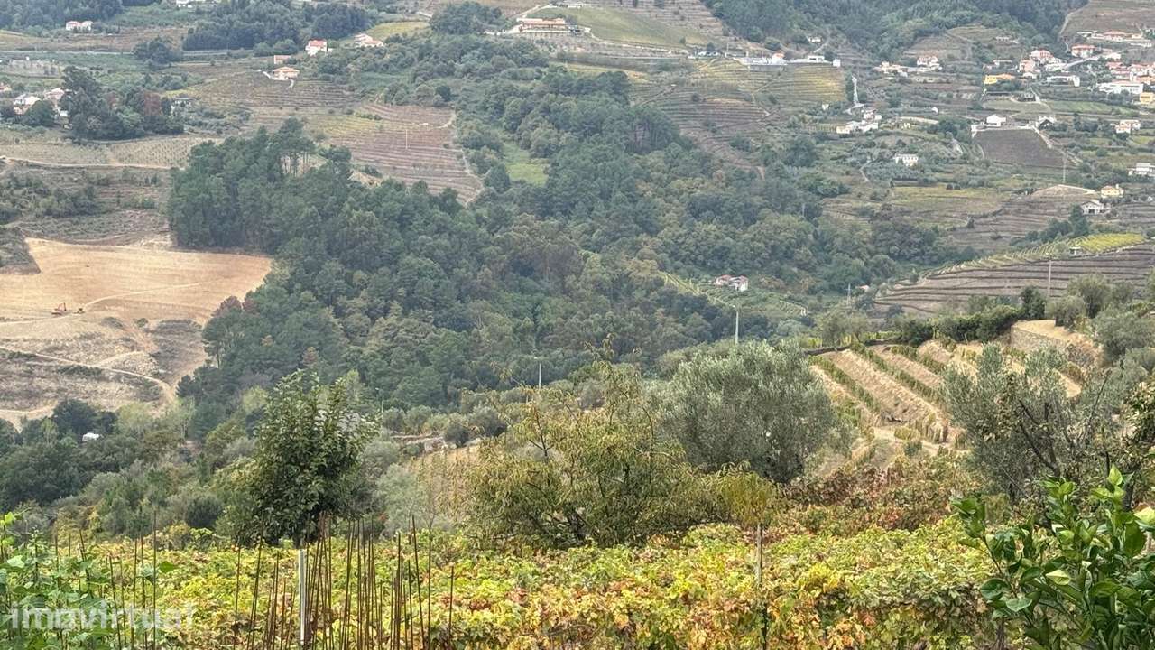 Quinta do Prado em Moura Morta, Régua - Grande imagem: 2/37
