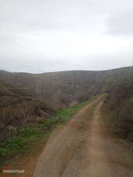 Terreno de 0,460 hectares - Grande imagem: 2/5