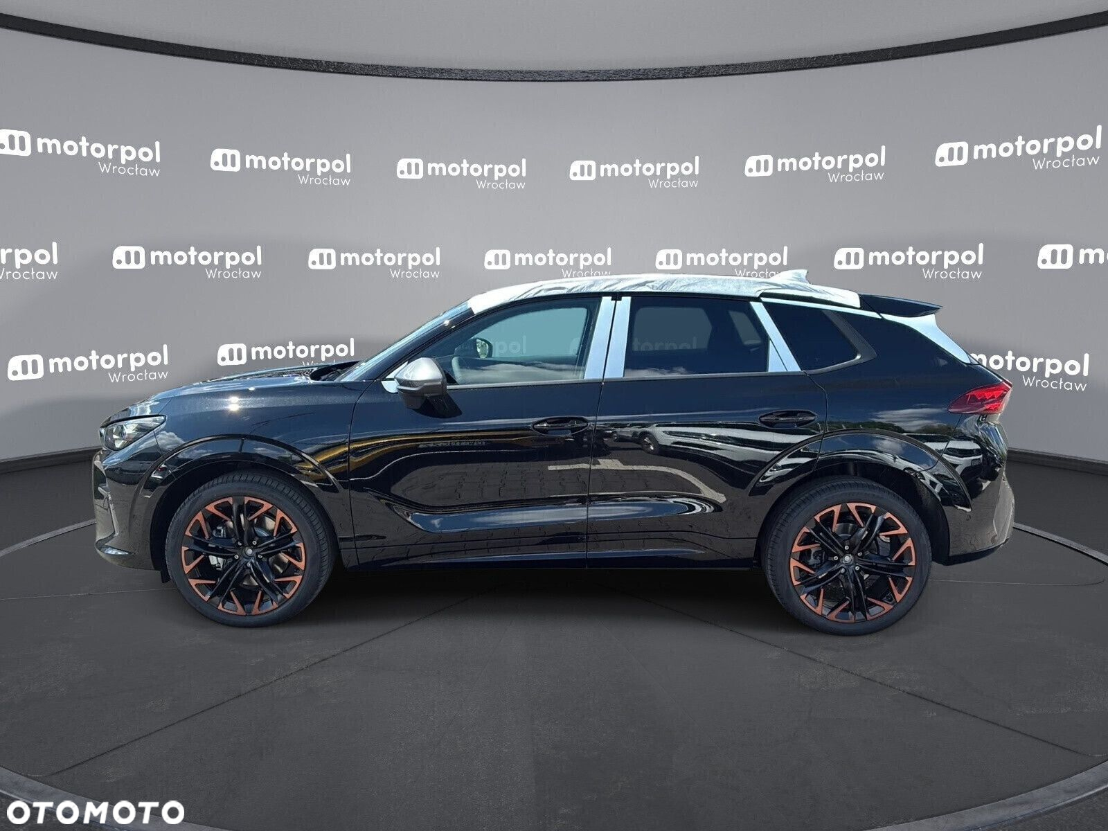 Cupra Terramar - 3