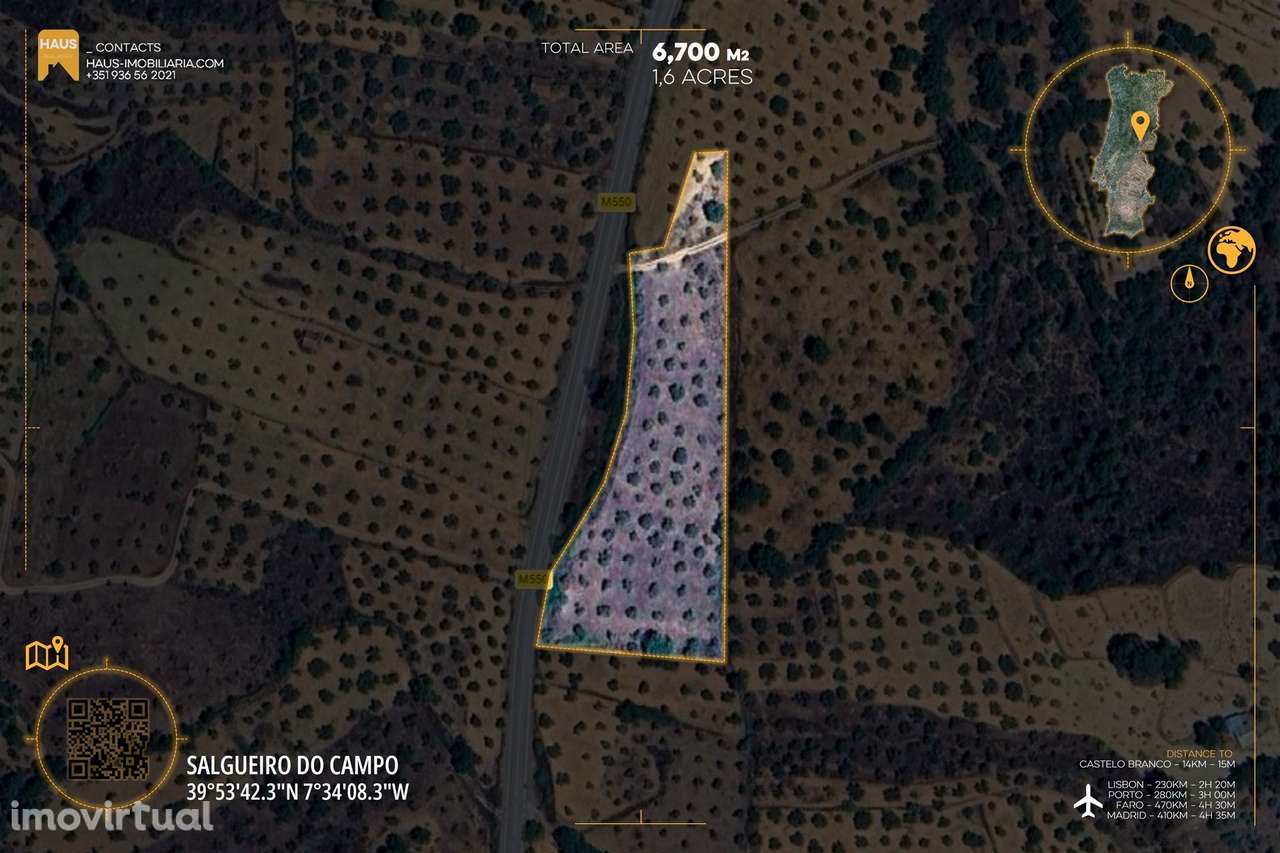 Terreno Plano 6.700m² c/ Vistas Panorâmicas – Salgueiro do Campo - Grande imagem: 2/28