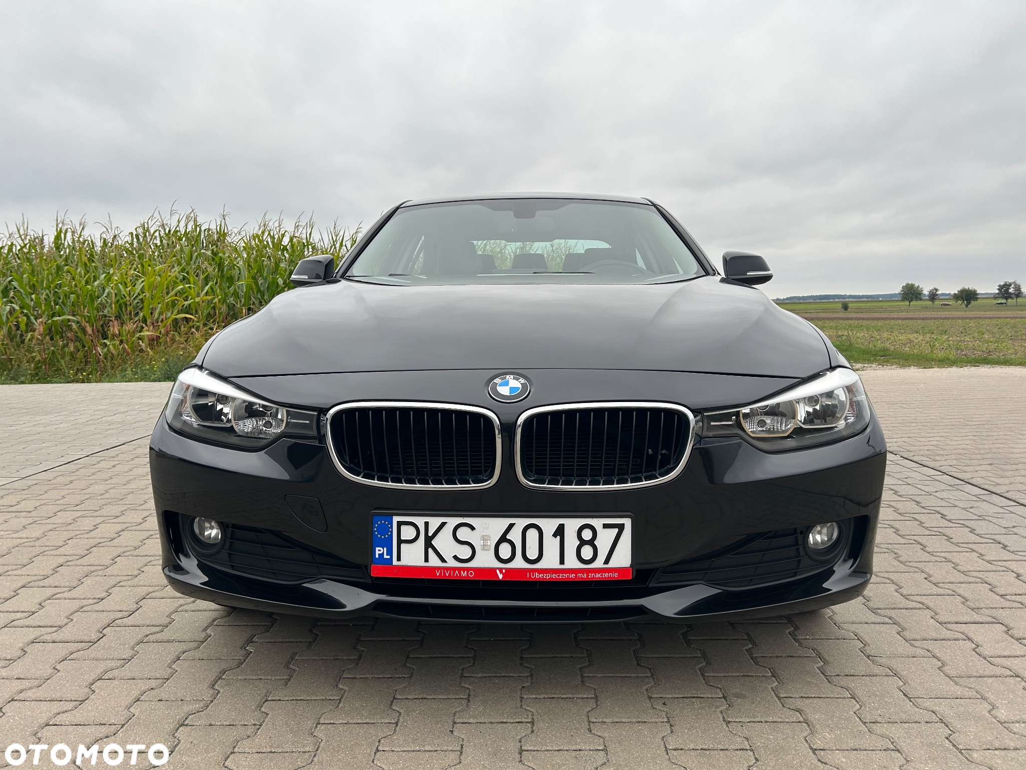 BMW Seria 3 316d - 12