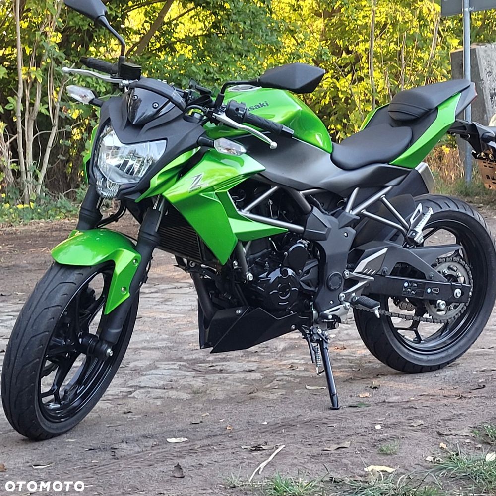 Kawasaki Z - 1