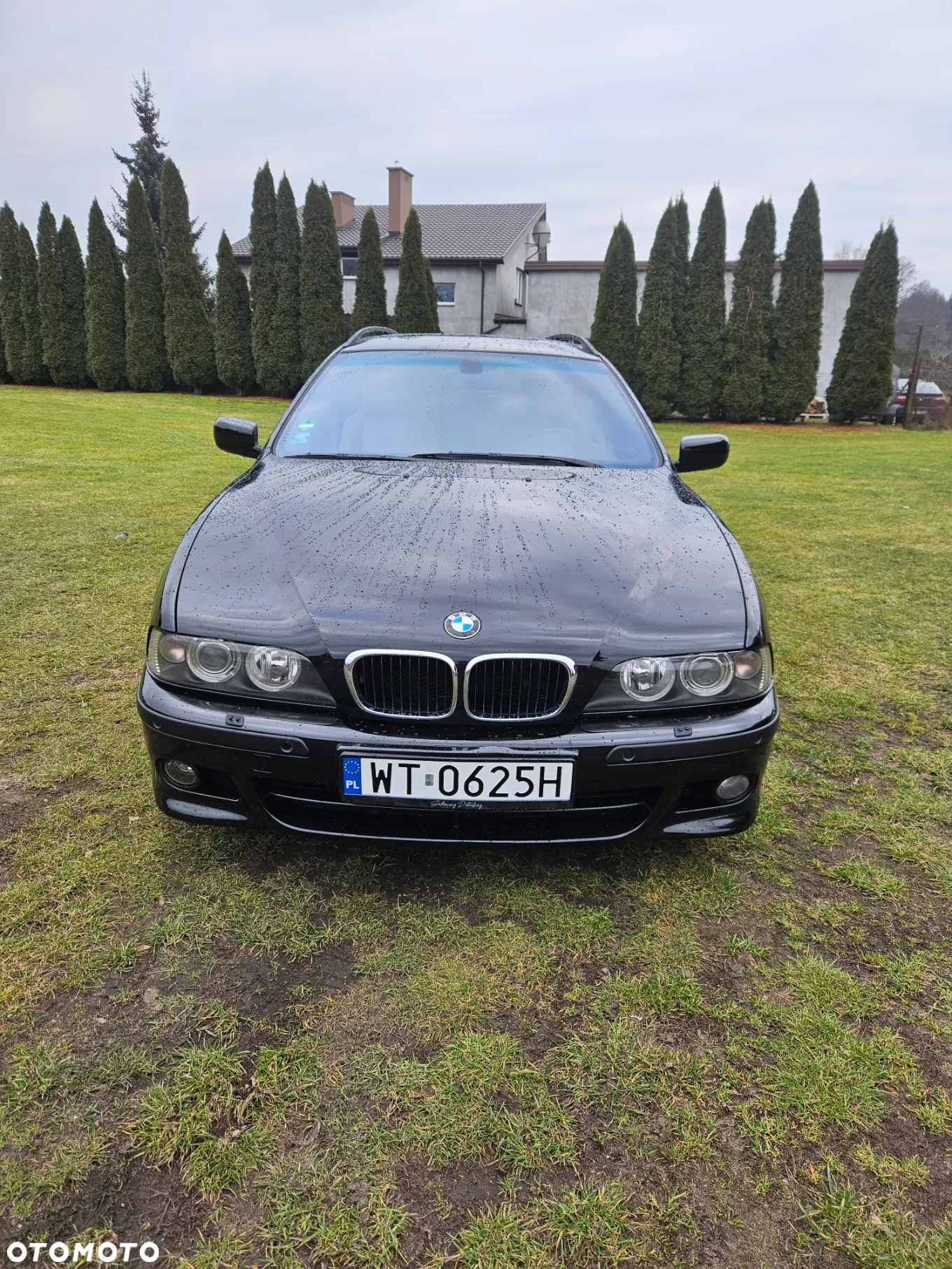 BMW Seria 5 - 10