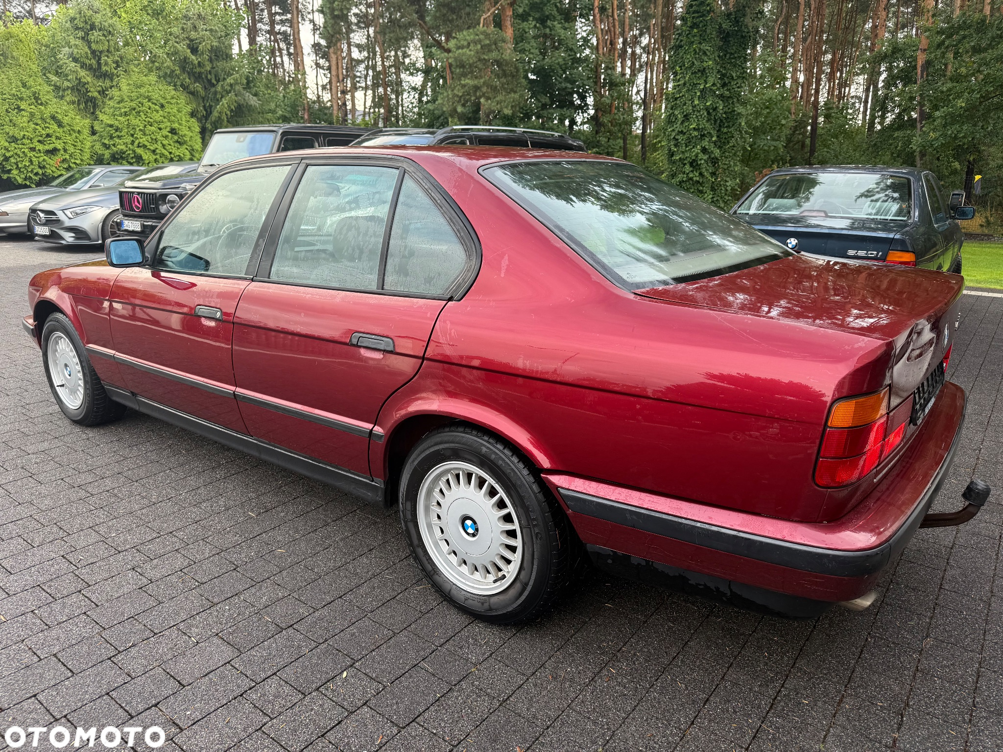 BMW Seria 5 520i - 12