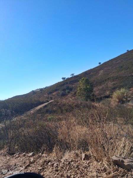 Terreno rustico - Grande imagem: 4/4