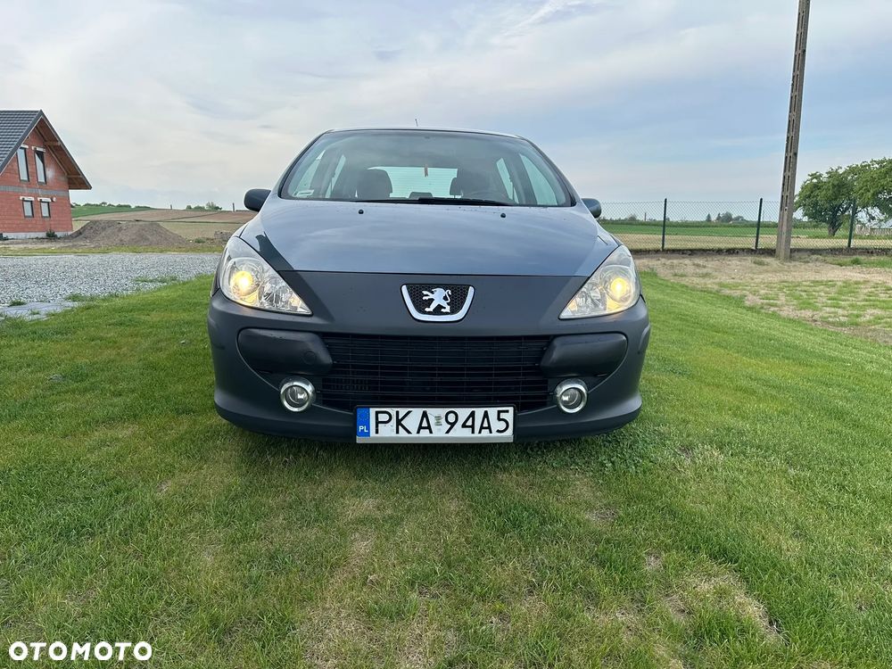 Peugeot 307 1.6 HDi - 12