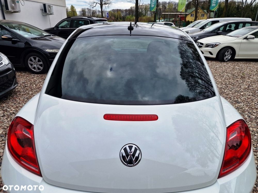 Volkswagen Beetle - 25