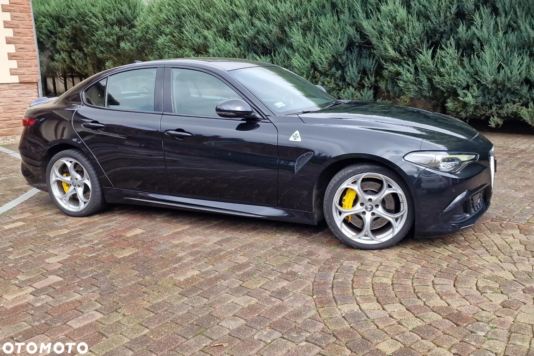 Alfa Romeo Giulia 2.9 V6 Bi-Turbo AT8 Quadrifoglio - 8