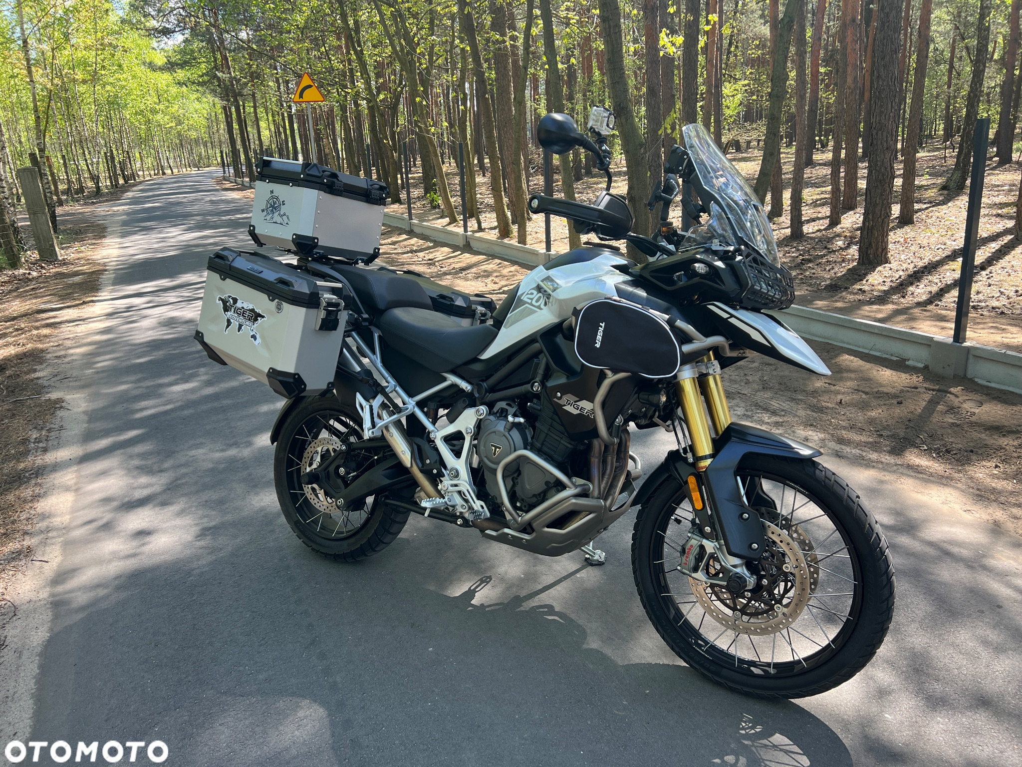 Triumph Tiger - 6