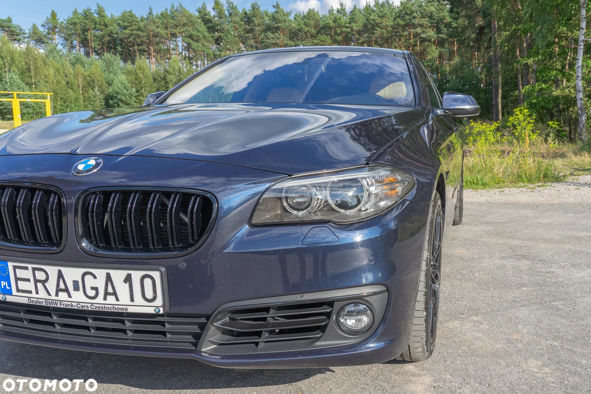 BMW Seria 5 525d xDrive Luxury Line - 2