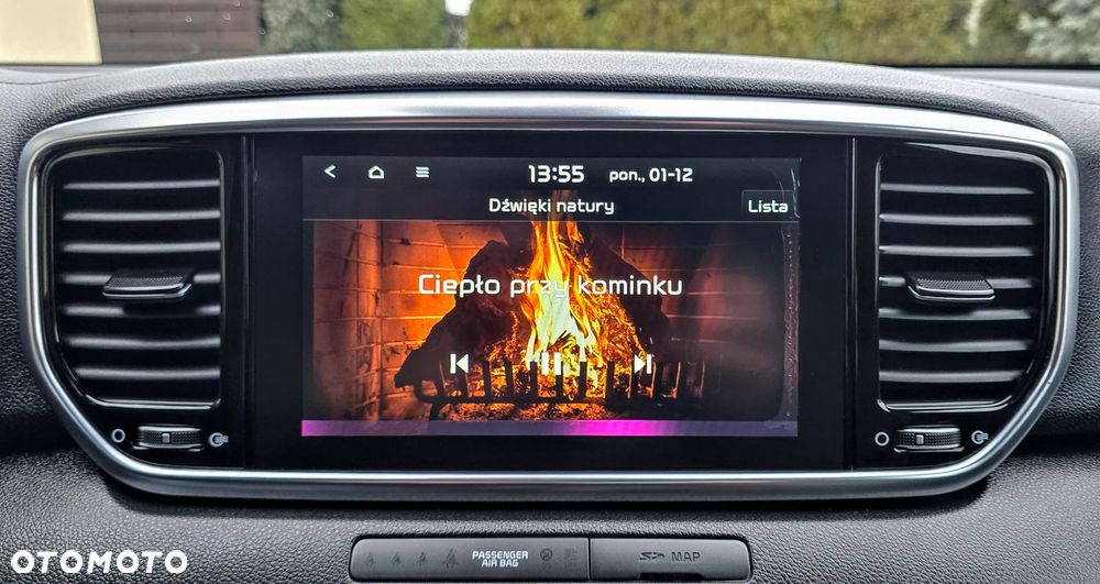 Kia Sportage 1.6 GDI L Business Line Plus 2WD - 30