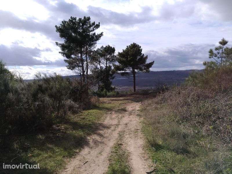 Terreno sito ao Pequito - Grande imagem: 2/7