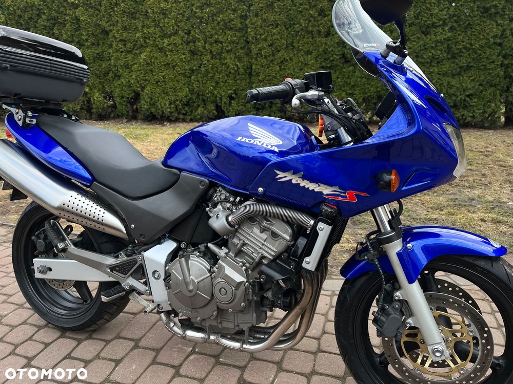 Honda Hornet - 13