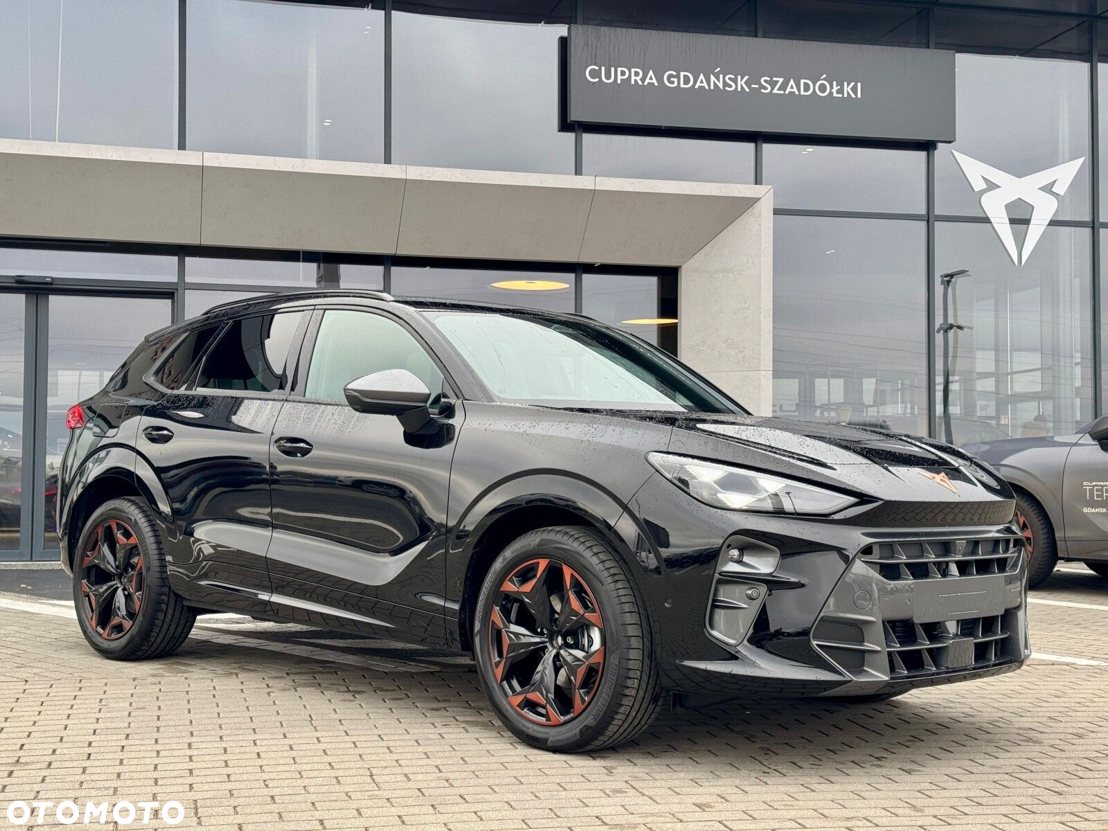 Cupra Terramar 2.0 TSI 4Drive DSG - 2