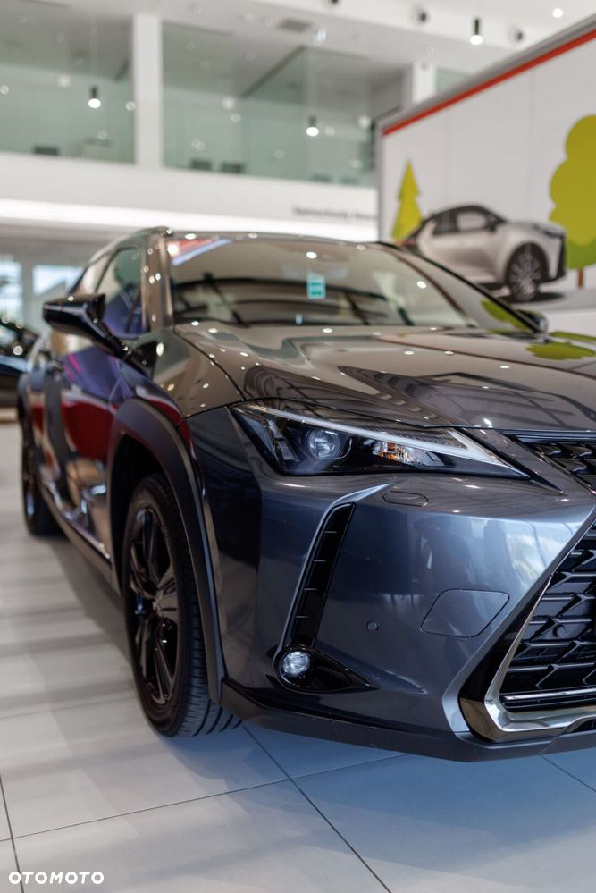 Lexus UX - 13