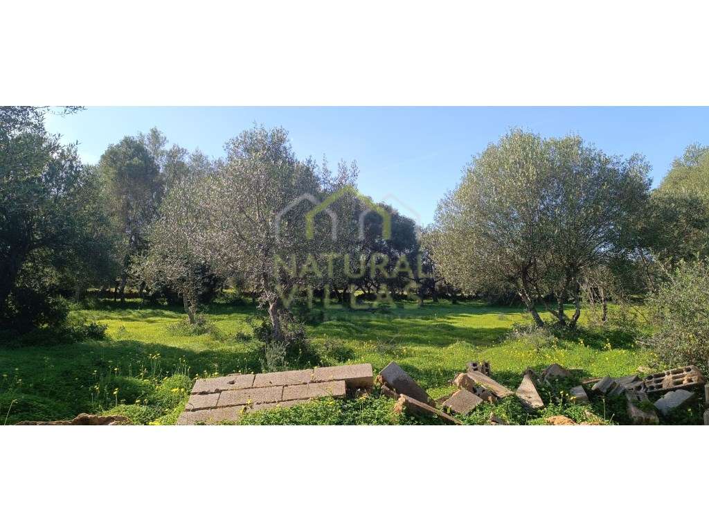 Terreno Rústico Plano em Quelfes, Olhão - Grande imagem: 2/5