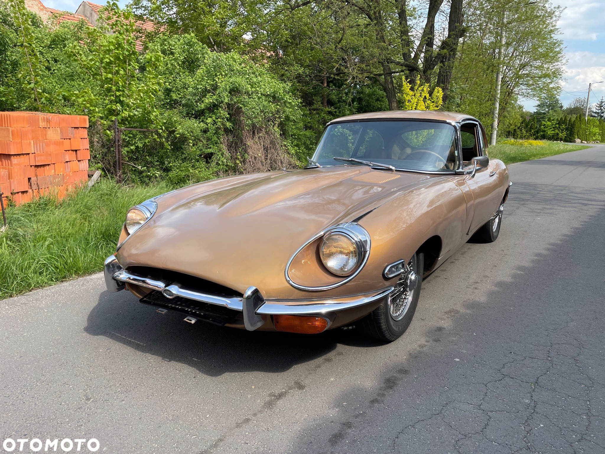 Jaguar E-Type - 2