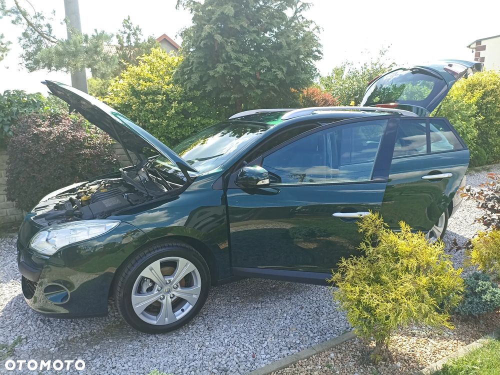 Renault Megane - 13