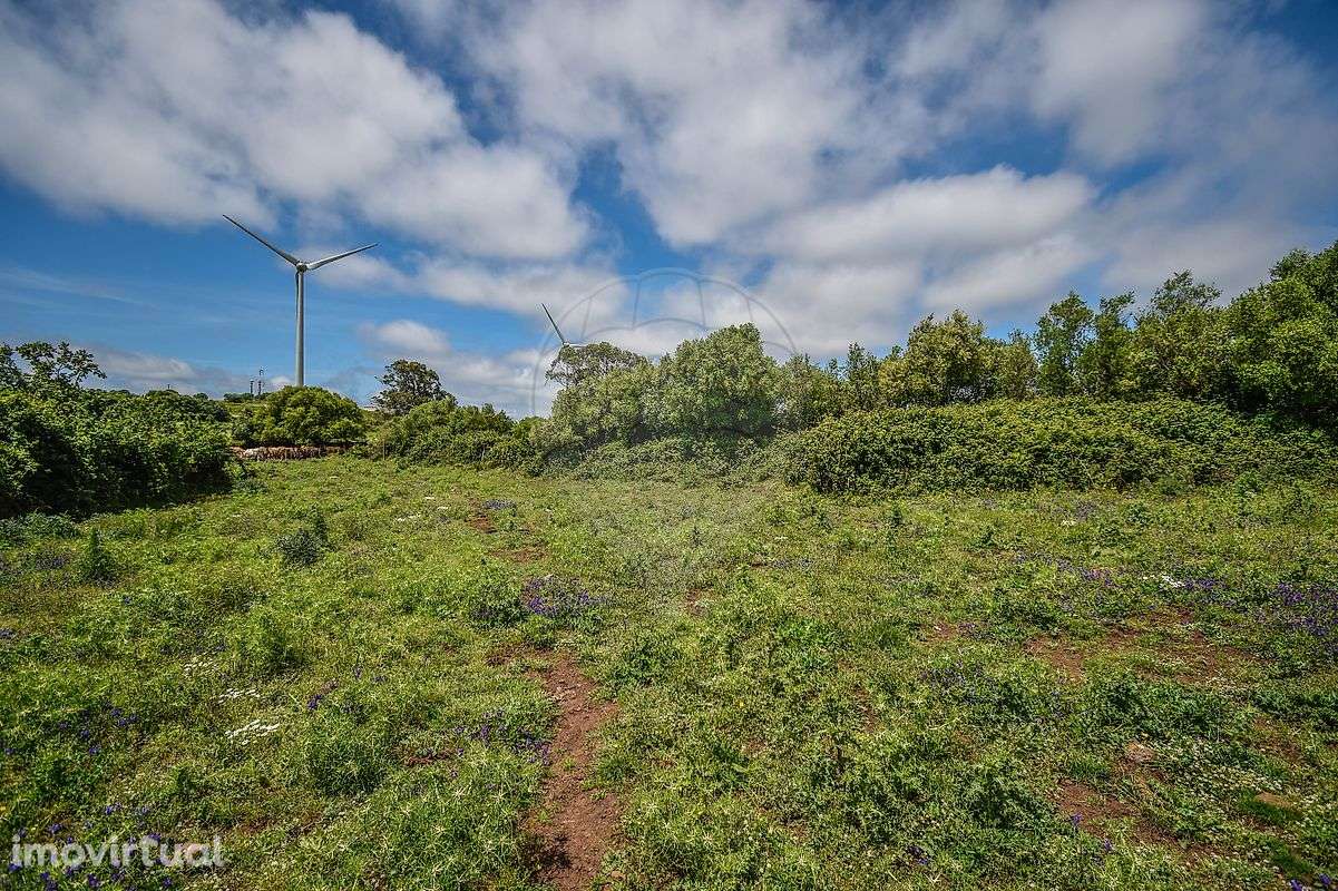 Terreno  para venda - Grande imagem: 3/14